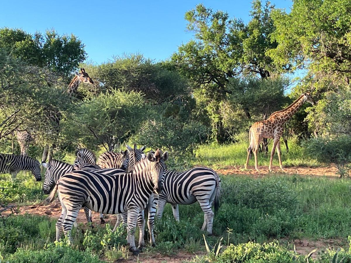 Lindiwe Safari Lodge Hoedspruit Eksteriør billede